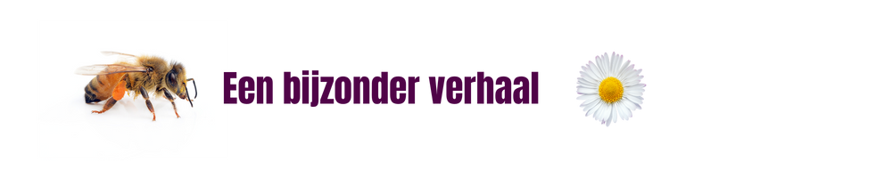 Paul Boot Auteur van Een bijzonder verhaal